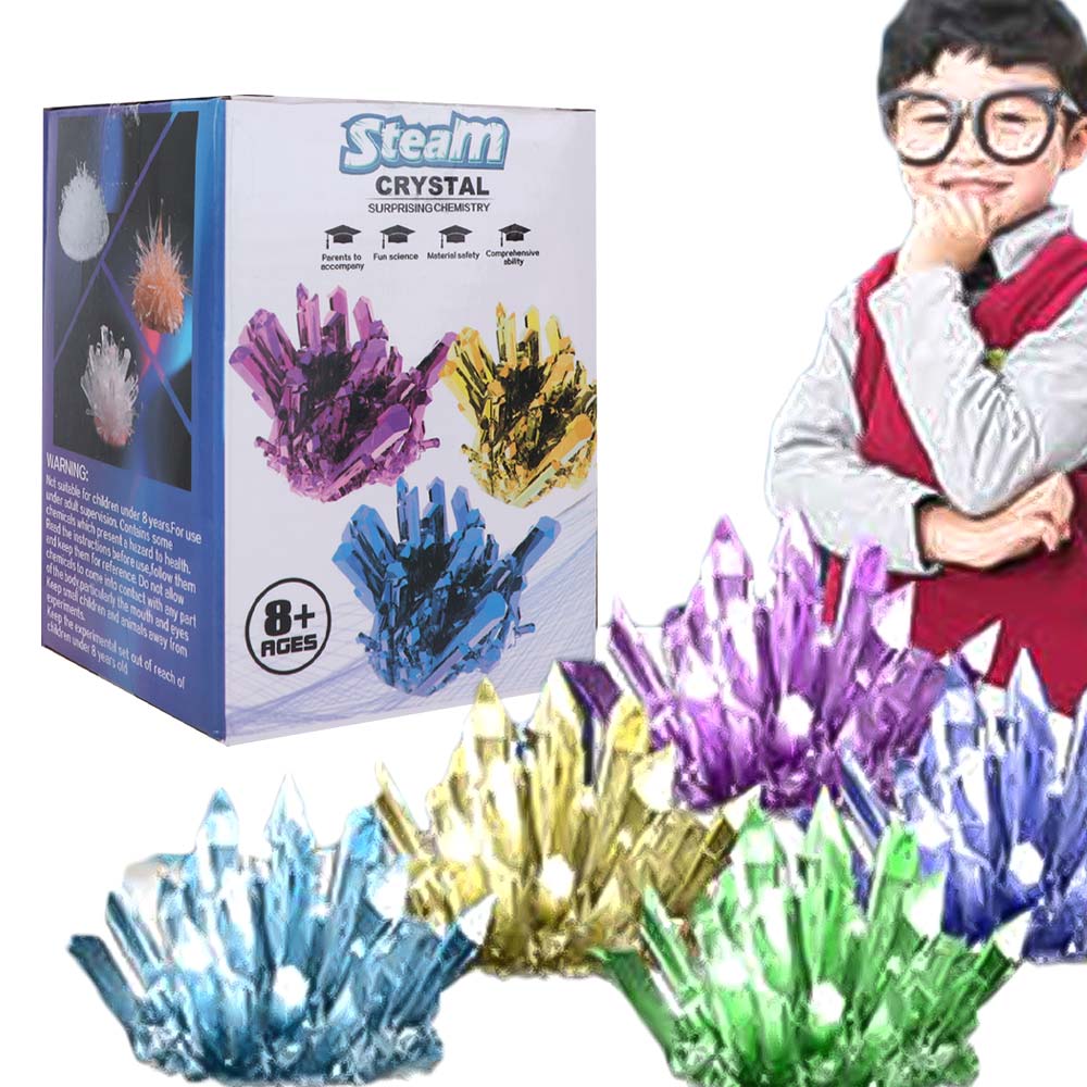Kit scientifique de culture de - Science Project Diy avis et prix